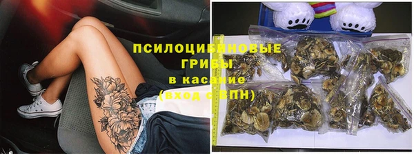 молекула духа Пролетарск