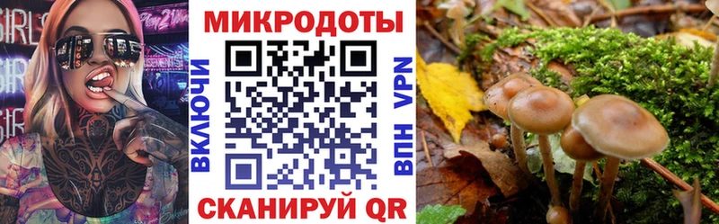купить закладку  мега как зайти  Псилоцибиновые грибы GOLDEN TEACHER  Сортавала 